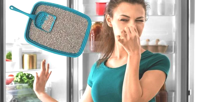 Buzdolabının içine kedi kumu koymak hayat kurtarıyor! Kedi kumu buzdolabınıza ne yapar?