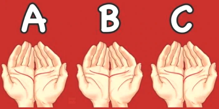 Başarılı mı yoksa başarısız mısınız? Avucunuzun içindeki çizgiler kişiliğiniz hakkında ilginç şeyler söylüyor...