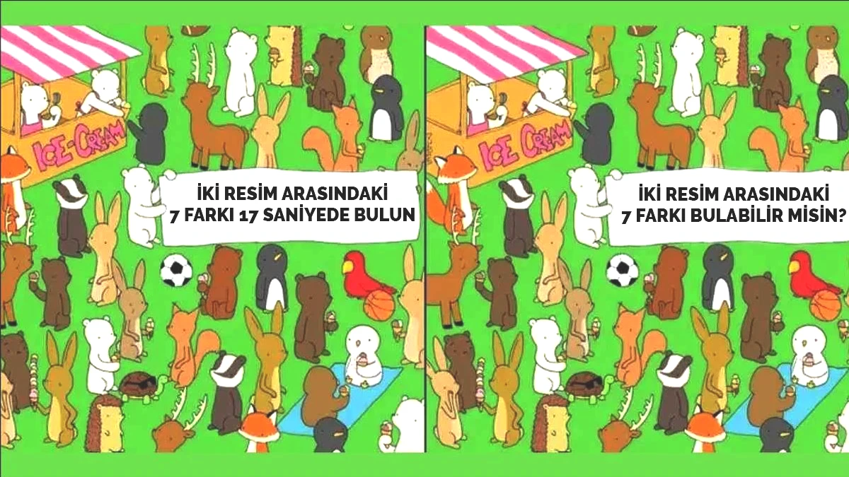 kapak.jpg