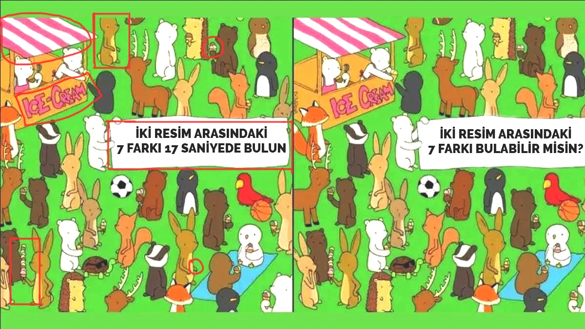 2-006.jpg