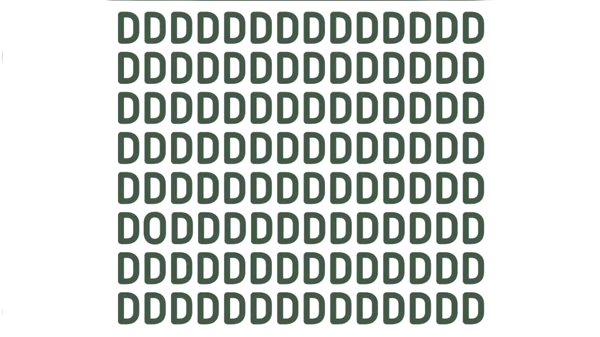 kapak.jpg