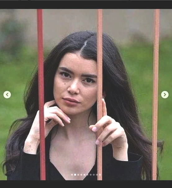 estetik.jpg