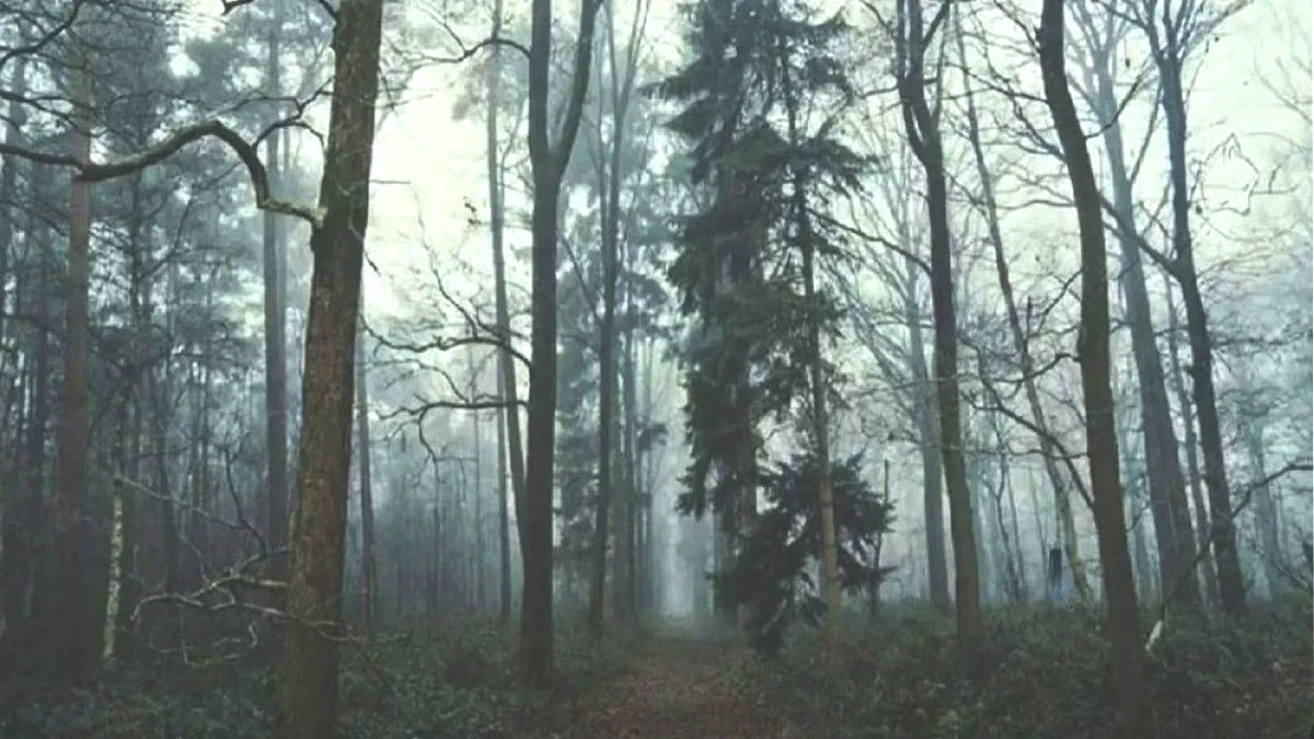 basliksiz-23.jpg