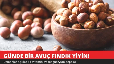 Günde Bir Avuç Fındık Yiyenlerde Ne Değişiyor? Uzmanlar Açıkladı