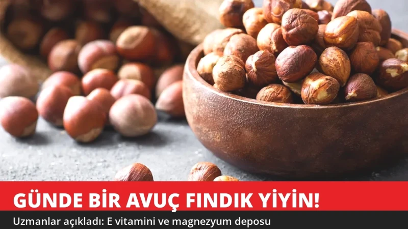 Günde Bir Avuç Fındık Yiyenlerde Ne Değişiyor? Uzmanlar Açıkladı