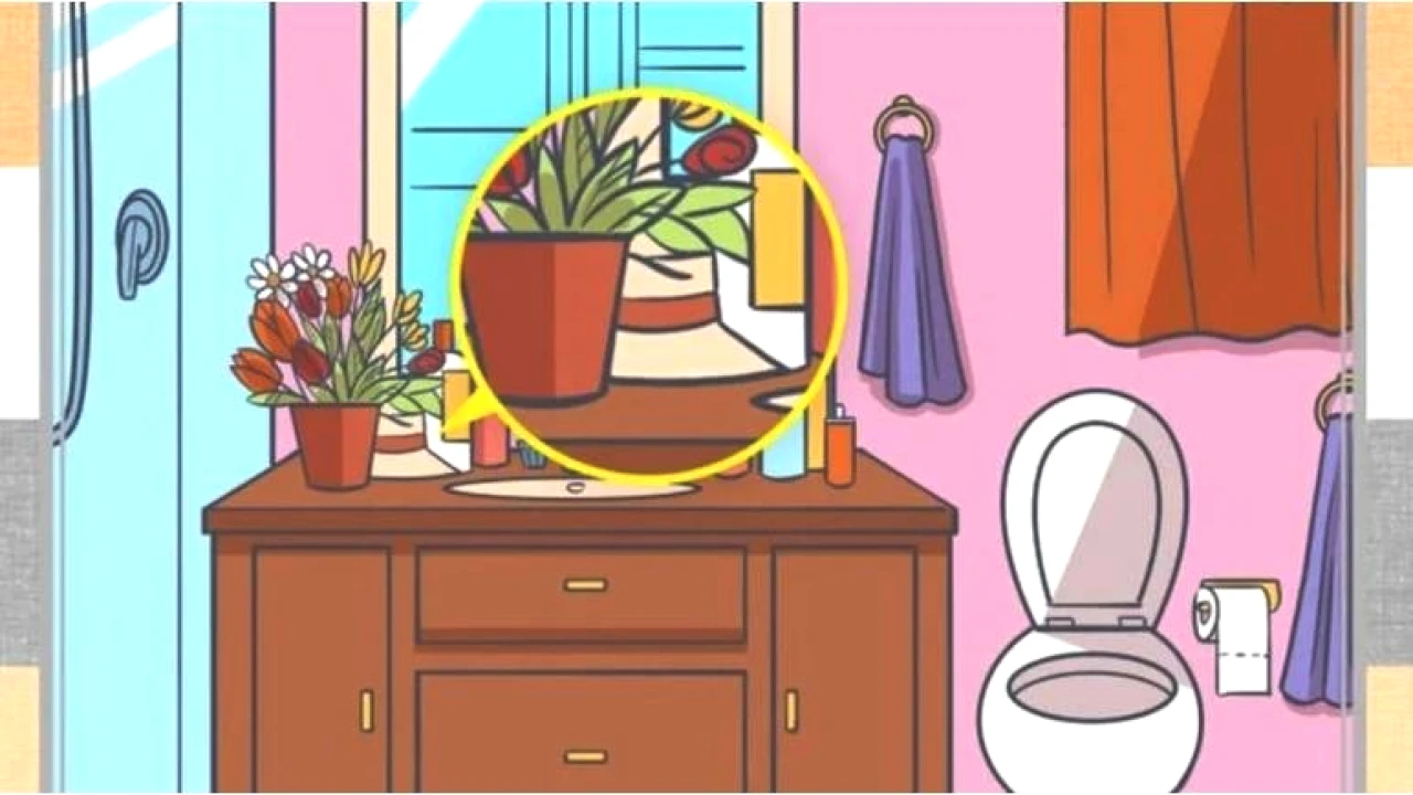 9 Saniyede Gizli Şapkayı Bulan Kartal Gözlü! Dikkat Testi