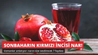 Sonbaharın Kırmızı İncisi! Narın Size Sevdirecek 7 Faydası