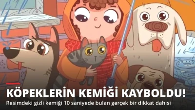Yağmurda Kaybolan Kemik! 10 Saniyede Bulan Dikkat Dahisi