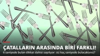 Çatalların Arasında Biri Farklı! 6 Saniyede Bulan Dikkat Dahisi