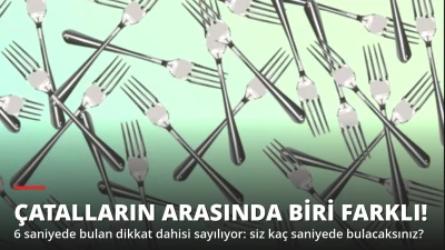 Çatalların Arasında Biri Farklı! 6 Saniyede Bulan Dikkat Dahisi