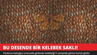 Bu Desende Bir Kelebek Saklı! 5 Saniyede Gören Kartal Gözlü