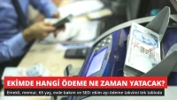 Ekimde Hangi Ödeme Ne Zaman Yatacak? Emekliden Memura Takvim