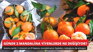 Günde 2 Mandalina Yiyenlerde Ne Değişiyor? Uzmanlar Anlattı