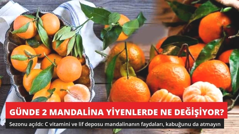Günde 2 Mandalina Yiyenlerde Ne Değişiyor? Uzmanlar Anlattı