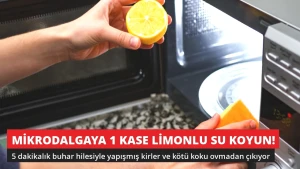 Mikrodalgaya 1 Kase Limonlu Su Koyun! Kirler Ovmadan Çıkıyor