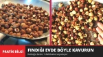 Fındığı Evde Böyle Kavurun! Kabuğu Bezle 1 Dakikada Soyuluyor