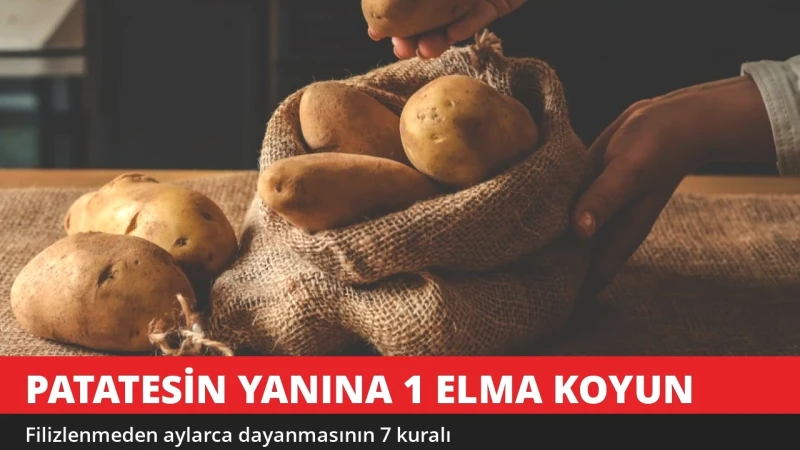 Patatesin Yanına 1 Elma Koyun! Filizlenmeden Aylarca Dayanıyor